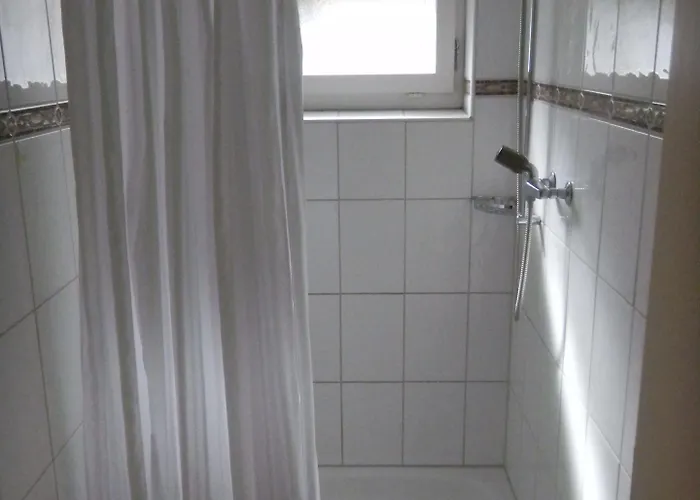 Alplodge Auberge de jeunesse Interlaken