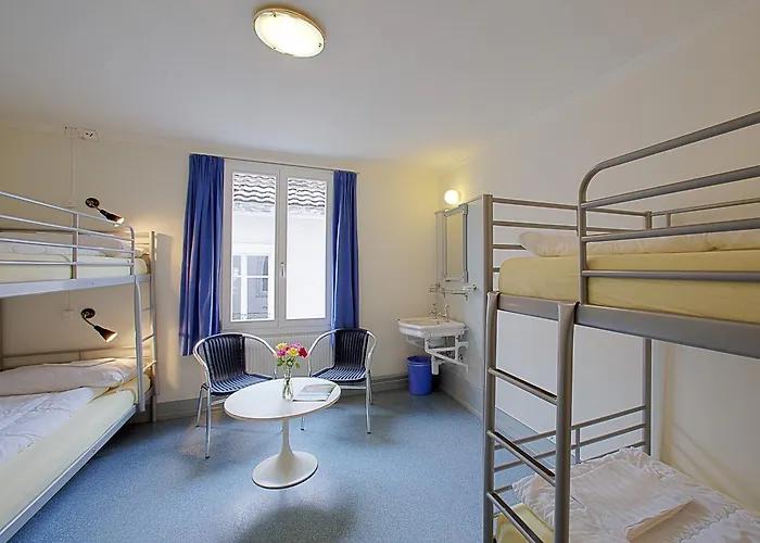 Auberge de jeunesse Alplodge