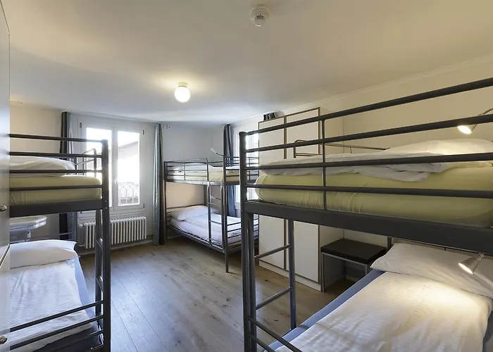 Alplodge Auberge de jeunesse Interlaken