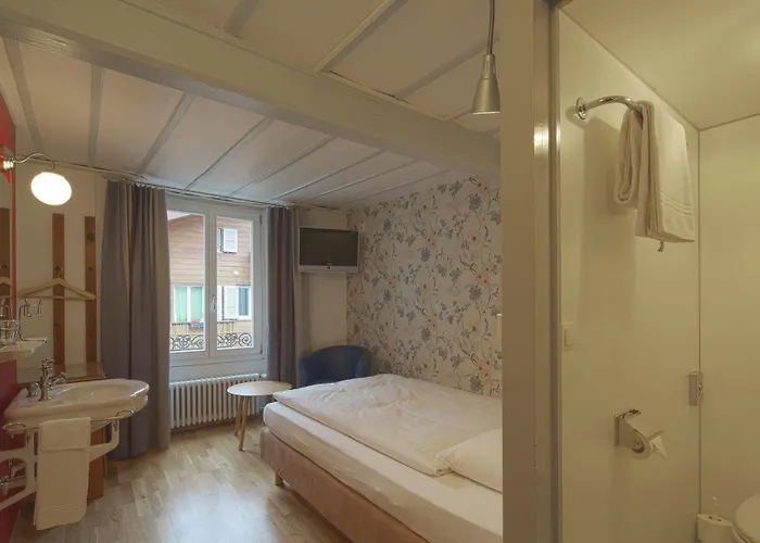 Alplodge Auberge de jeunesse Interlaken