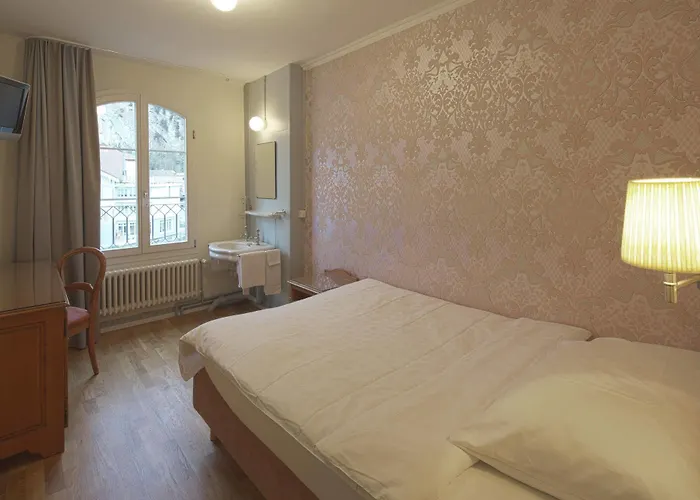 Auberge de jeunesse Alplodge Interlaken