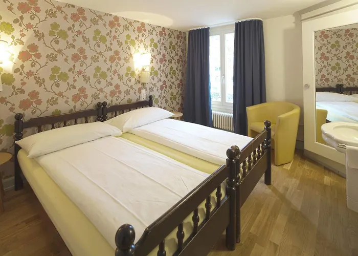 Auberge de jeunesse Alplodge *