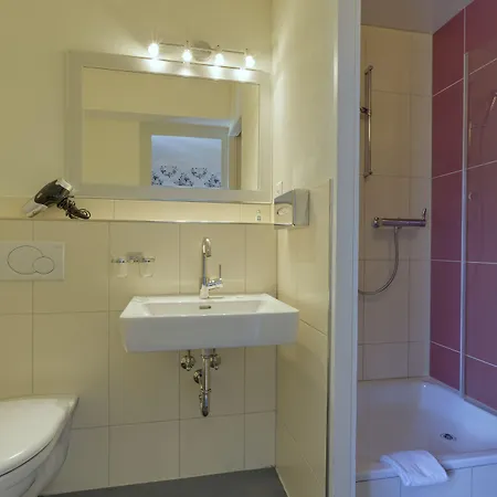 Alplodge 旅馆 因特拉肯